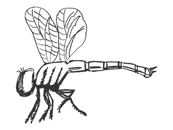 トンボ、昆虫の世界の動物 — ストックベクタ