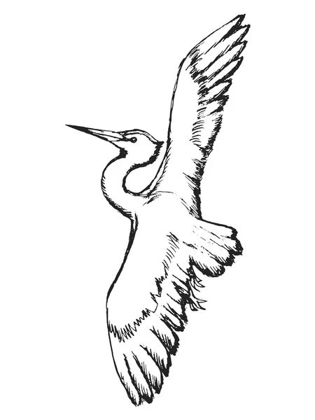 Heron i flyg — Stock vektor