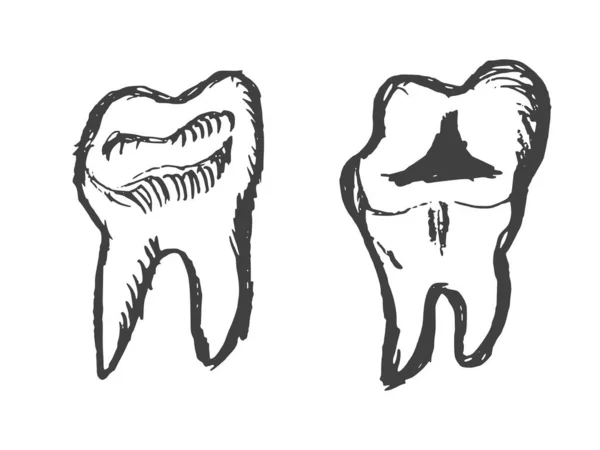 Dent Saine Dent Malade Image Relative Dentisterie Dessiné Main Illustration — Image vectorielle