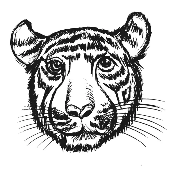 Cabeza Tigre Salvaje Motivos Vida Silvestre Vida Selva Safari Protección — Vector de stock