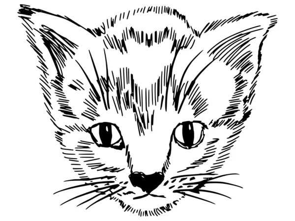 Portret van kitten — Stockvector