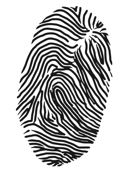 Fingerprint — Stock Vector