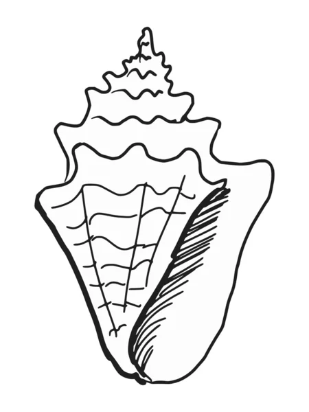 Sea shell — Stockvector