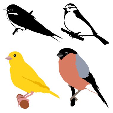 set of birds clipart