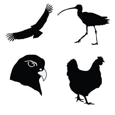 tarzı bir çizimde siyah silueti, tavuk, gyrfalcon, kınamak