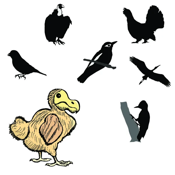 Silueta negra de pájaro carpintero, urogallo de madera, verderón, cigüeña, orio — Vector de stock