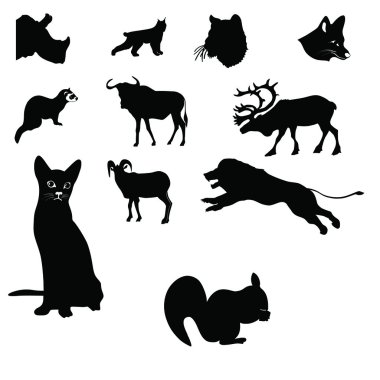 Aslan, Gergedan, gelincik, kedi, maymun, gnu, dağ keçisi, geyik, squi