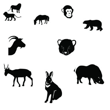 at, tavşan, keçi, saiga, kutup ayısı, çita yavrusu, maymun, yaban domuzu,