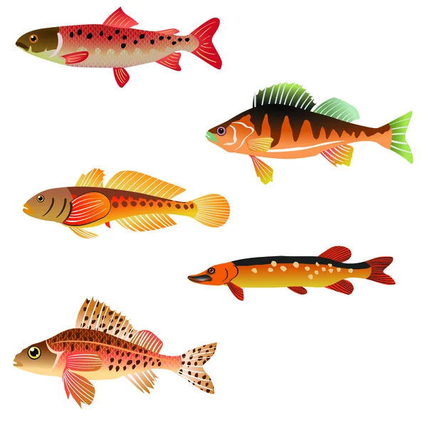 Иллюстрация рыбы — стоковый вектор