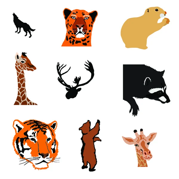 Marmot, giraff, caribou, tvättbjörn, tiger, Björn, giraff, björnen cub — Stock vektor