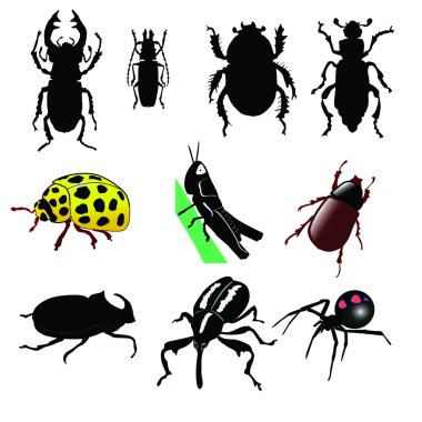stag beetle, dev böcek, dor veya geotrupes stercora silueti