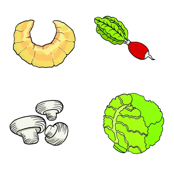 クロワッサン、大根、シャンピニオン、描画、cabbagehand illustrat をベクトル — ストックベクタ