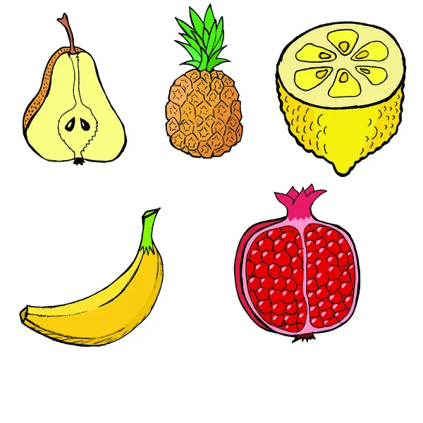 Cutting pear,pineapple,banana,pomegranate,lemonHand drawn, vecto — Stock Vector