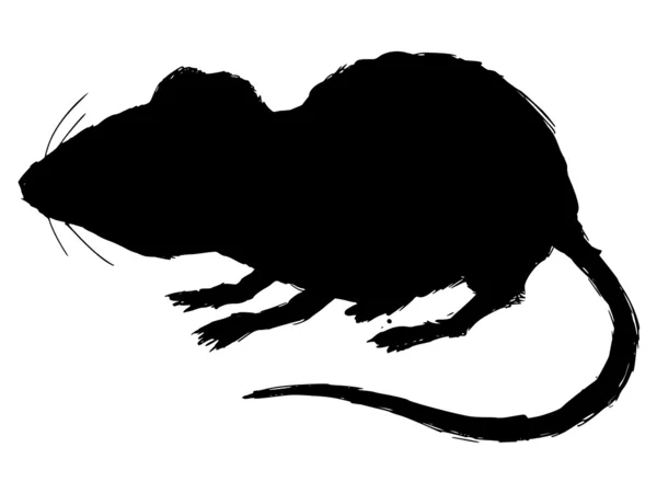 House mouse — Stock Vector