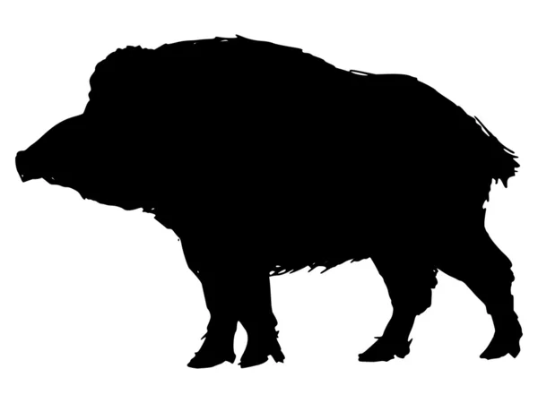 Wild boar — Stock Vector