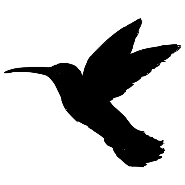 Hummingbird — Vector de stoc