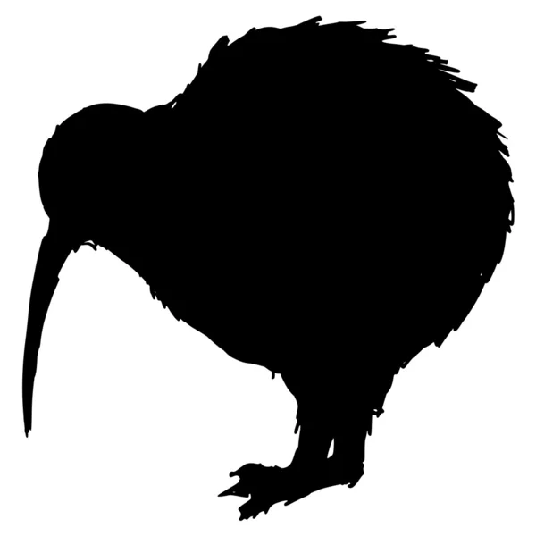 Oiseau kiwi — Image vectorielle