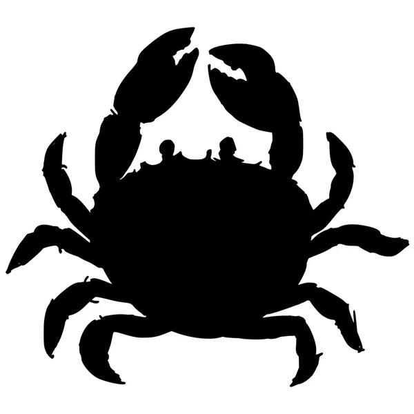 Krab — Stockvector