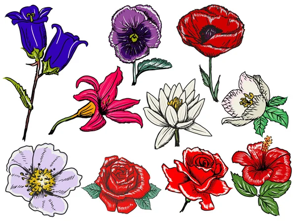 Set bloemen — Stockvector