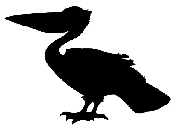 Pelikan — Stock vektor