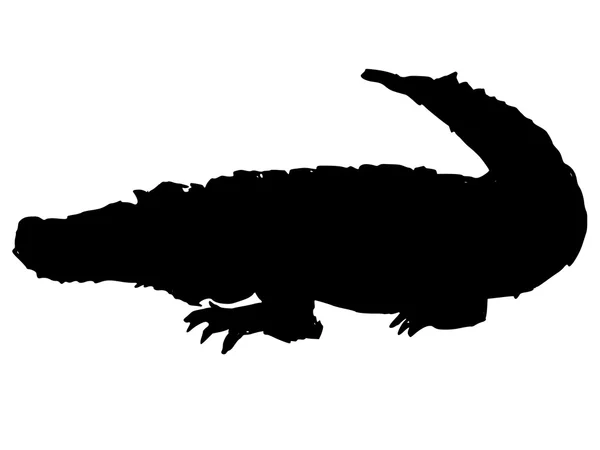 Crocodile — Image vectorielle