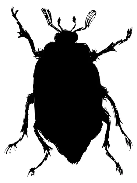 Chafer — Stockvector