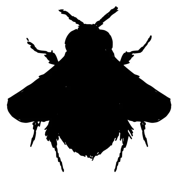 Hommel — Stockvector