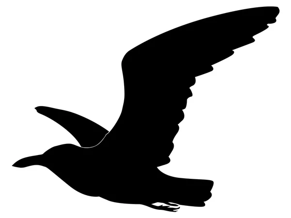Seagull — Stock Vector