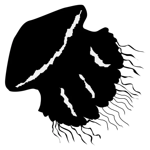 水母 — 图库矢量图片