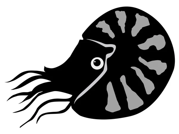 Nautilus — Image vectorielle