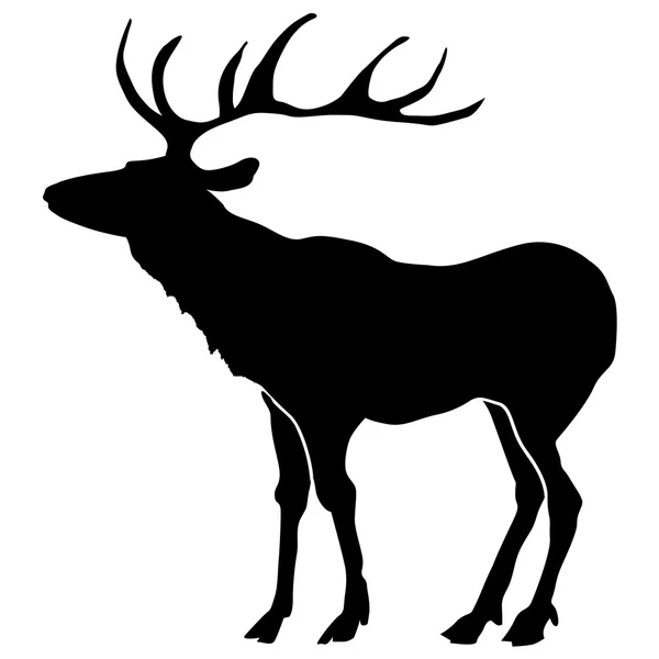 Cerfs — Image vectorielle