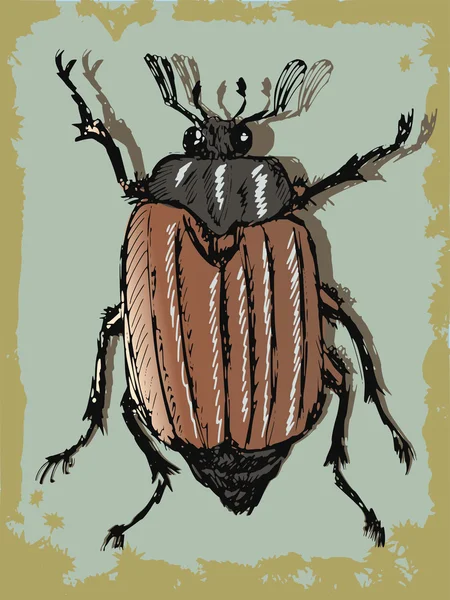 Fondo vintage con escarabajo — Archivo Imágenes Vectoriales