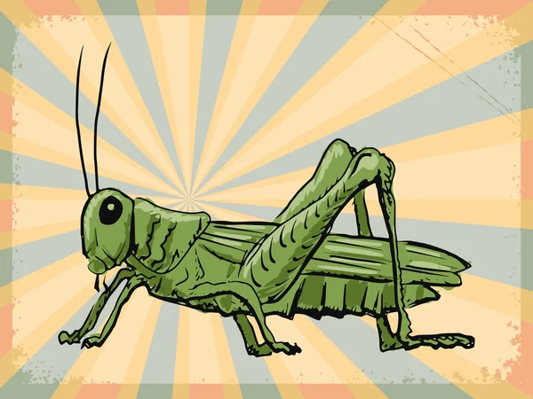 Tło z grasshopper — Wektor stockowy