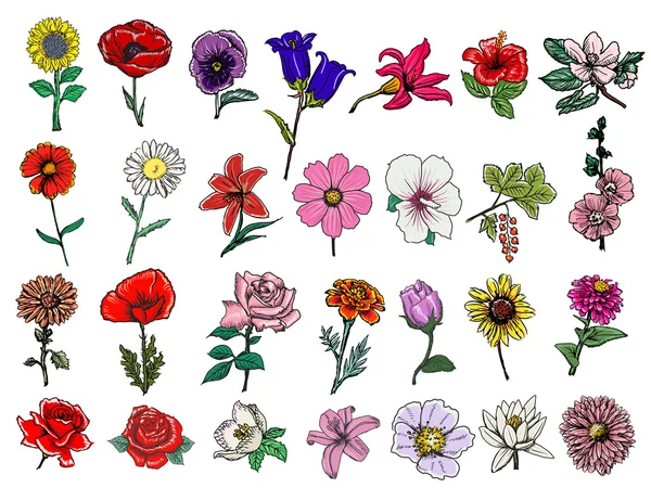 Набір квітів — стоковий вектор
