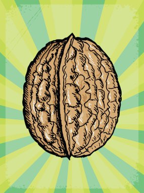 Cevizli antika arka plan