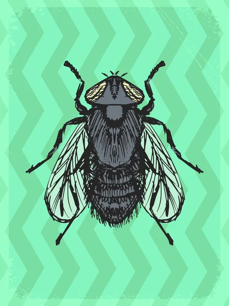 Fondo vintage con mosca — Vector de stock