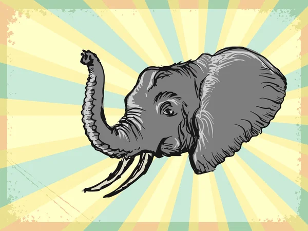 Fundal vintage cu elefant — Vector de stoc