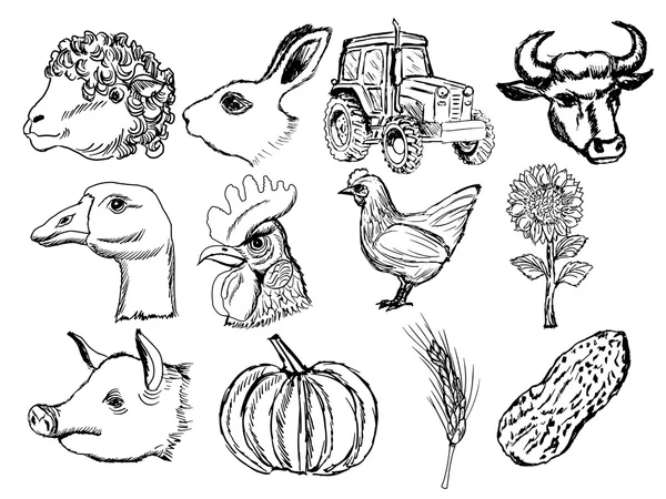 Agriculture — Image vectorielle