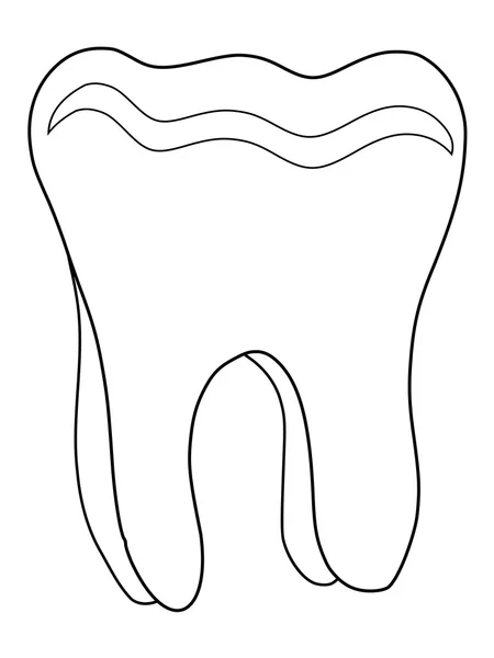 Dente humano — Vetor de Stock