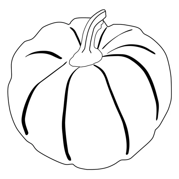 Pumpa, höstens grönsaker — Stock vektor