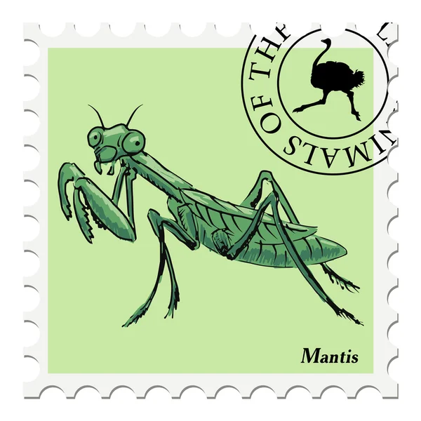 Bélyegző, mantis — Stock Vector