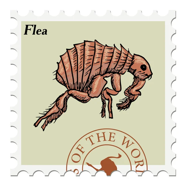 Stempel z flea — Wektor stockowy