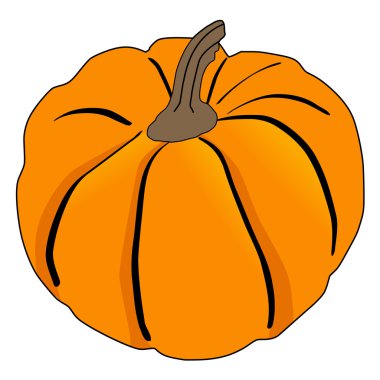 kabak, sonbahar sebze