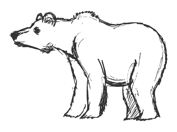 Hand drawn, grunge, sketch illustration of bear — Stock Vector