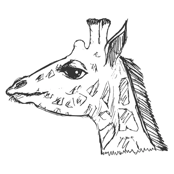 Ručně kreslenou, grunge, Skica obrázek žirafa — Stockový vektor