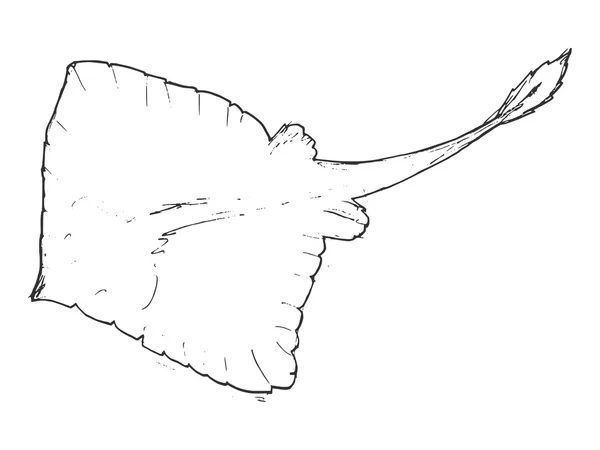 手描き、グランジ、マンタのスケッチ図 — ストックベクタ