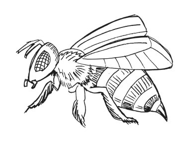 elle çizilmiş, grunge, arı kroki çizimi