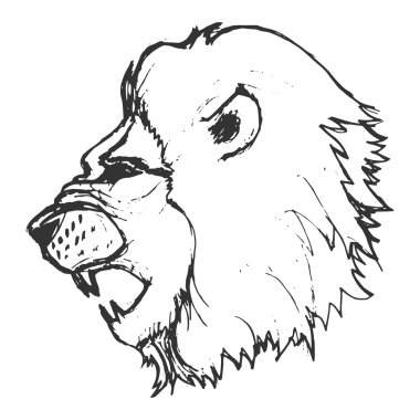 elle çizilmiş, grunge, aslan kroki çizimi