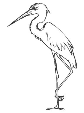 elle çizilmiş, grunge, heron kroki çizimi
