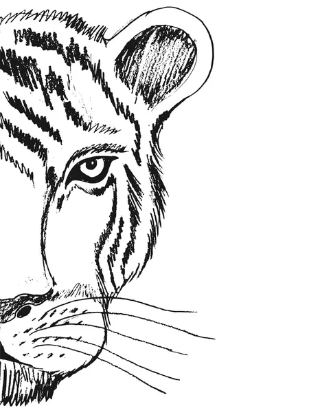 Dessin à la main, grunge, croquis illustration de tigre — Image vectorielle